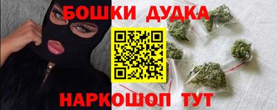 крисы Моздок