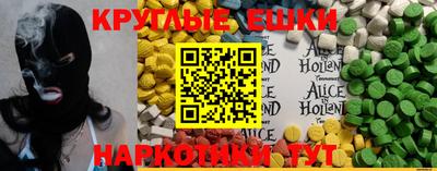 крисы Моздок