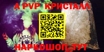 крисы Моздок