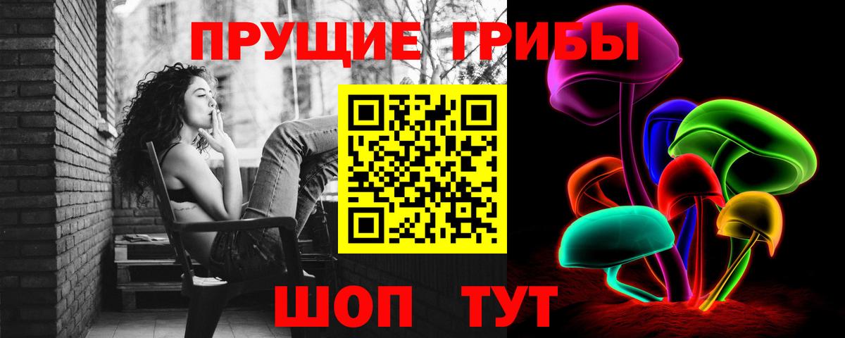 Псилоцибиновые грибы мицелий  Вход с VPN  Псилоцибиновые грибы Psilocybe  Унеча 